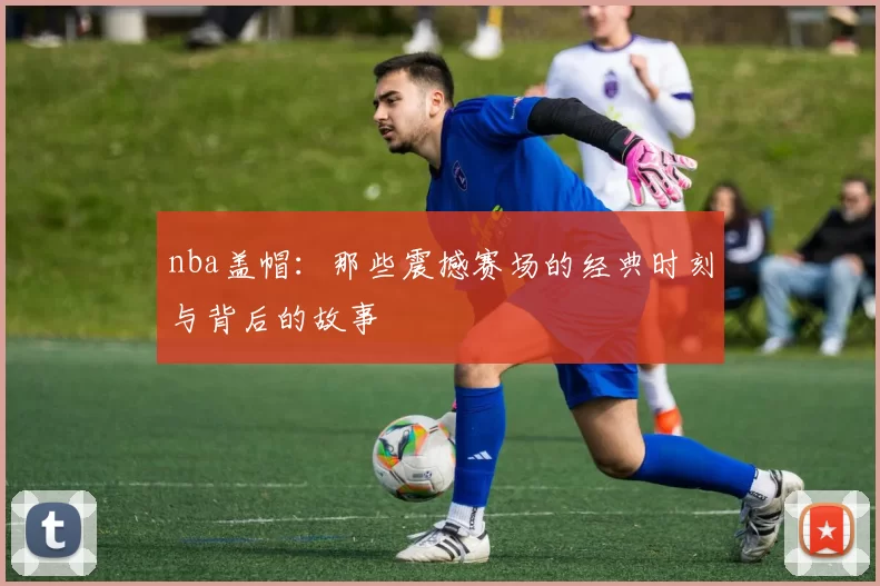 nba盖帽：那些震撼赛场的经典时刻与背后的故事