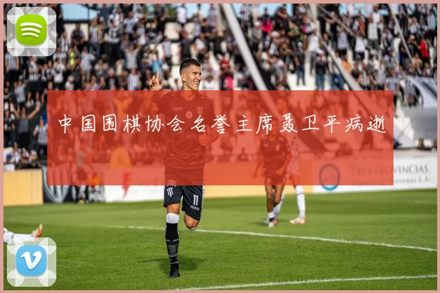 中国围棋协会名誉主席聂卫平病逝